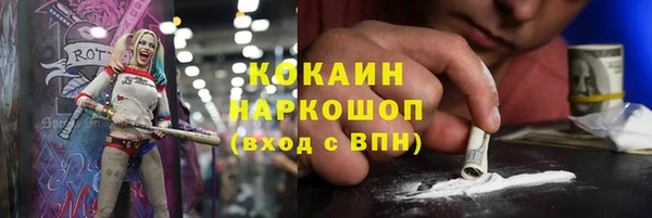 PSILOCYBIN Осташков