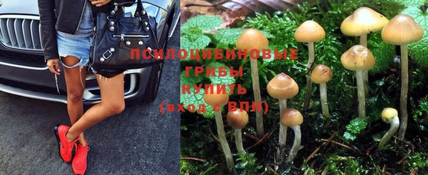 PSILOCYBIN Осташков