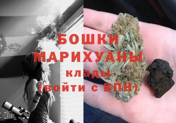 PSILOCYBIN Осташков