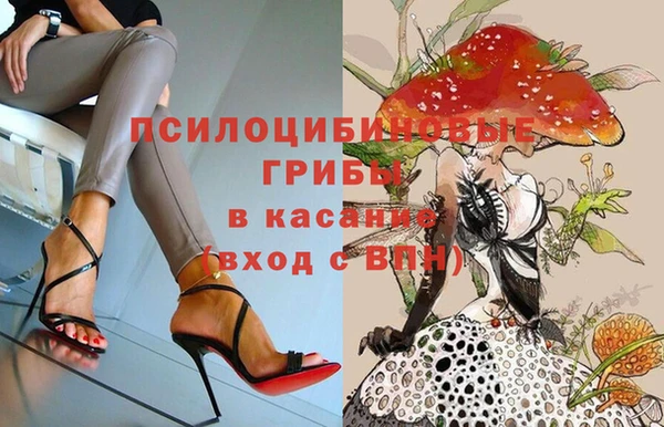 соль курить ск Осинники