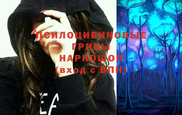 PSILOCYBIN Осташков