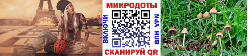 Галлюциногенные грибы MAGIC MUSHROOMS  Купить где  Сасово 